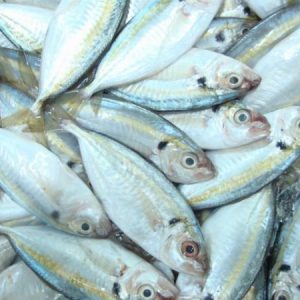 Cá chỉ vàng - Thủy Hải Sản Thế Khánh - Công Ty TNHH Thế Khánh